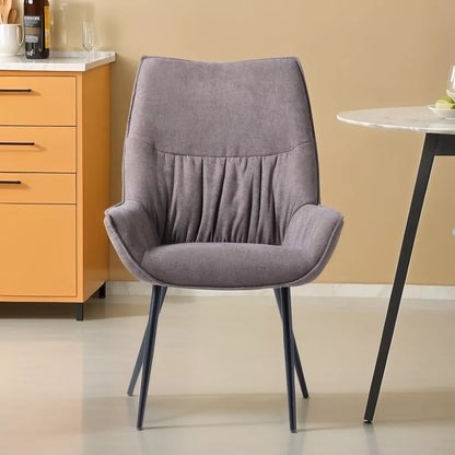 Skyla Modern Dining Chair (Set of 2)