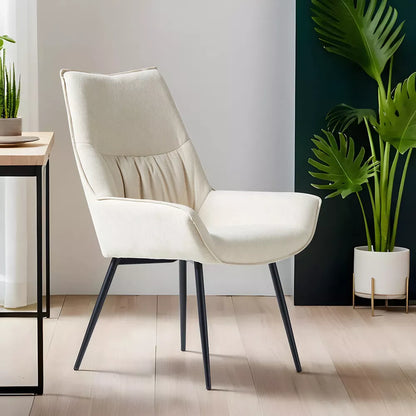 Skyla Modern Dining Chair (Set of 2)