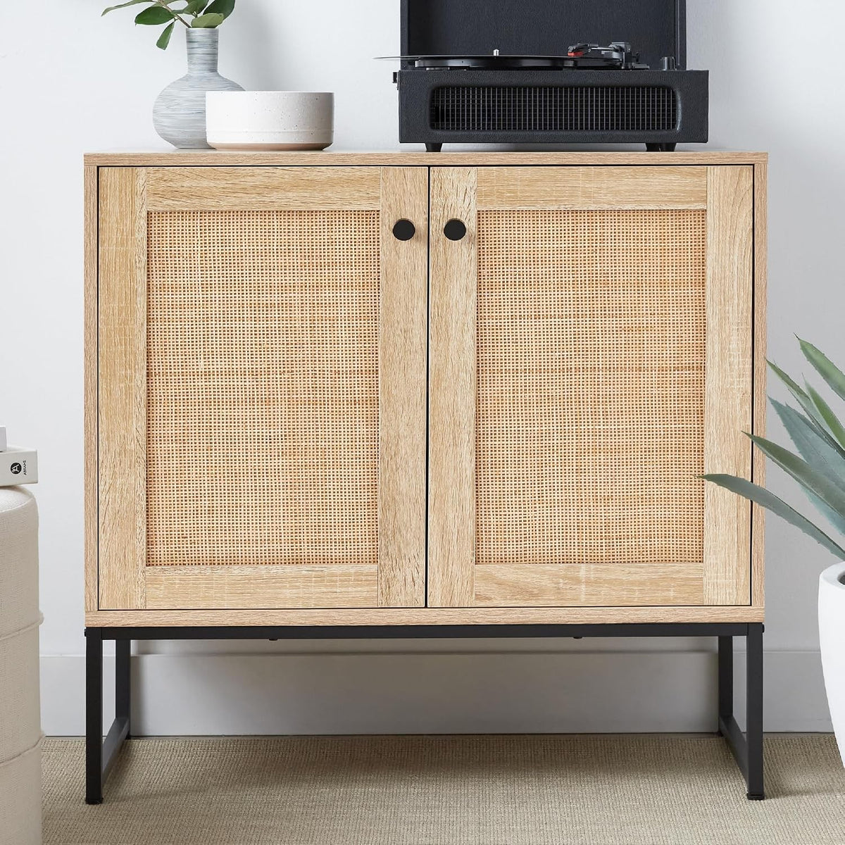 Tamsin 2-Door Rattan Accent Storage Cabinet with Metal Base, Natural