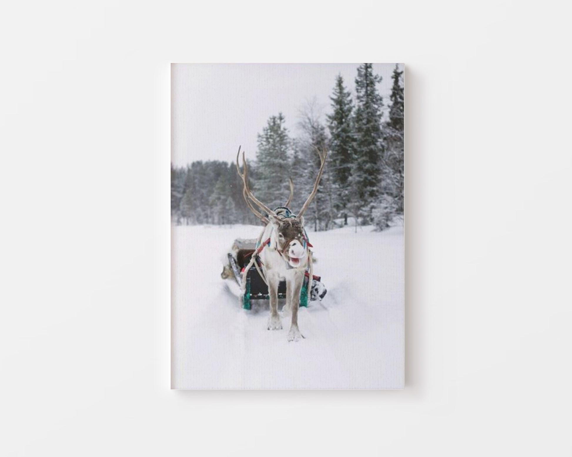 Winter Reindeer Canvas - Canva Home