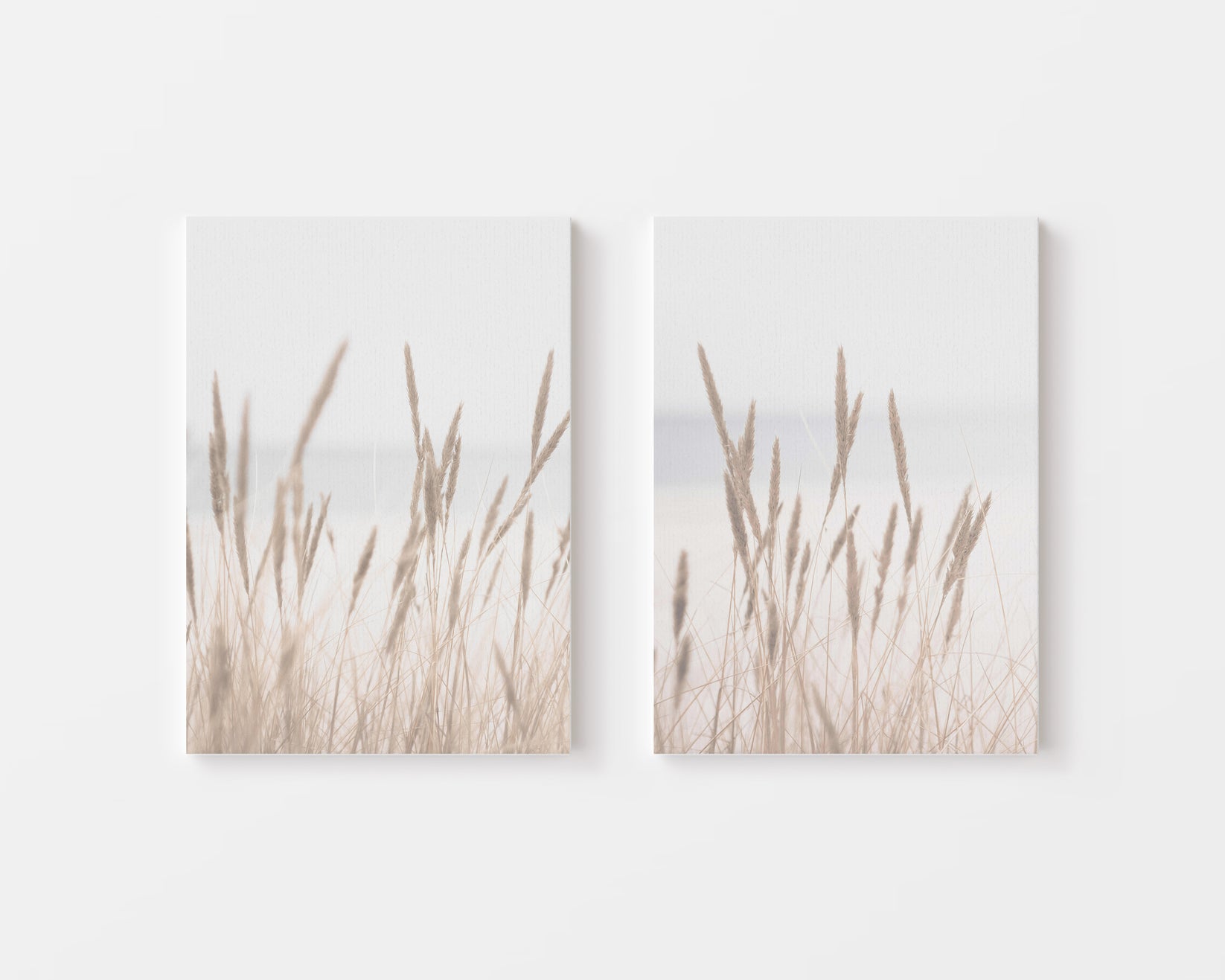 Dried Grass Canvas – Canva Home