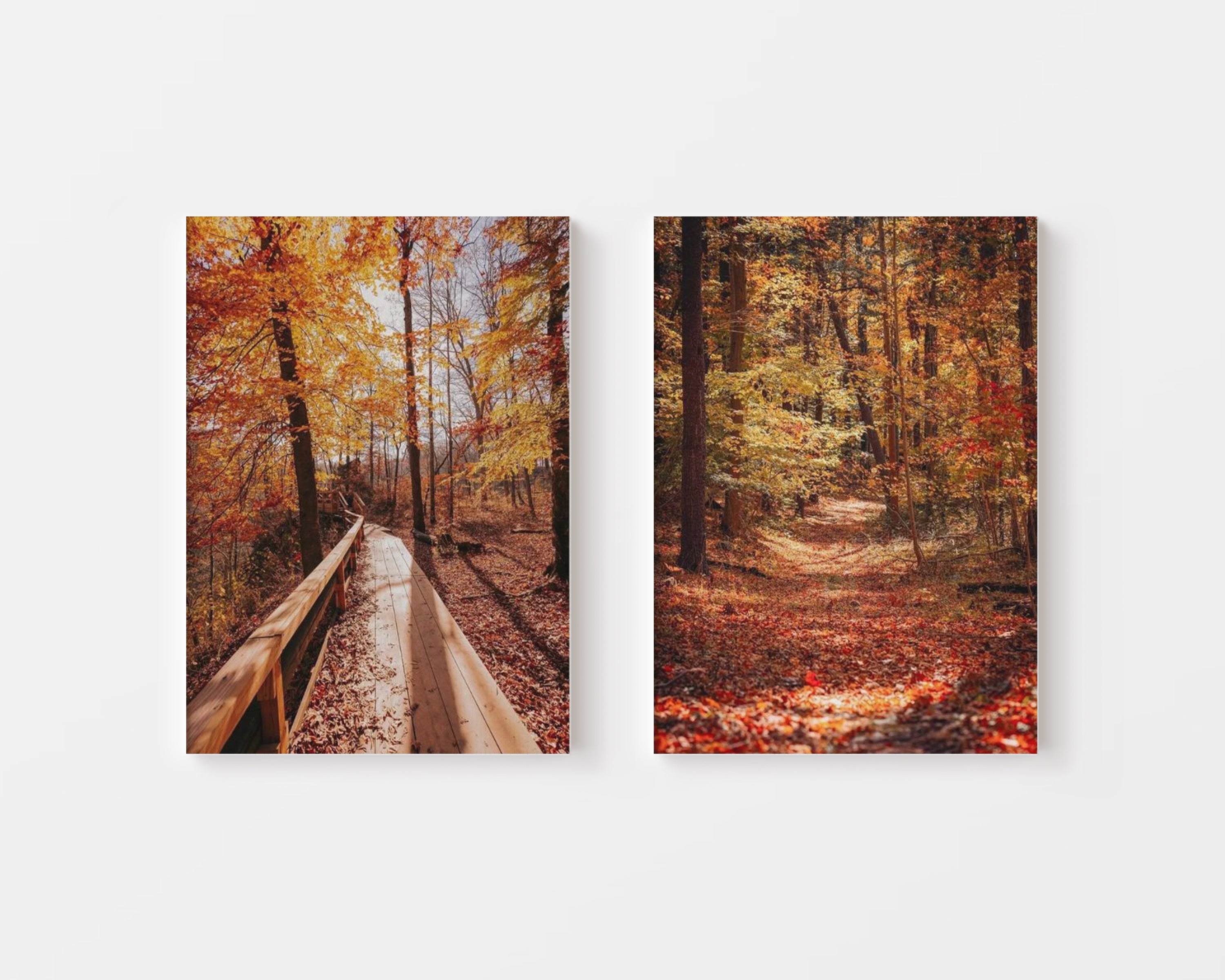 Fall Forest Canvas – Canva Home