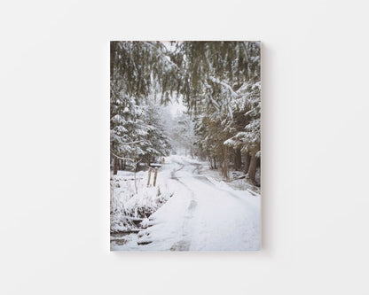 Winter Reindeer Canvas - Canva Home