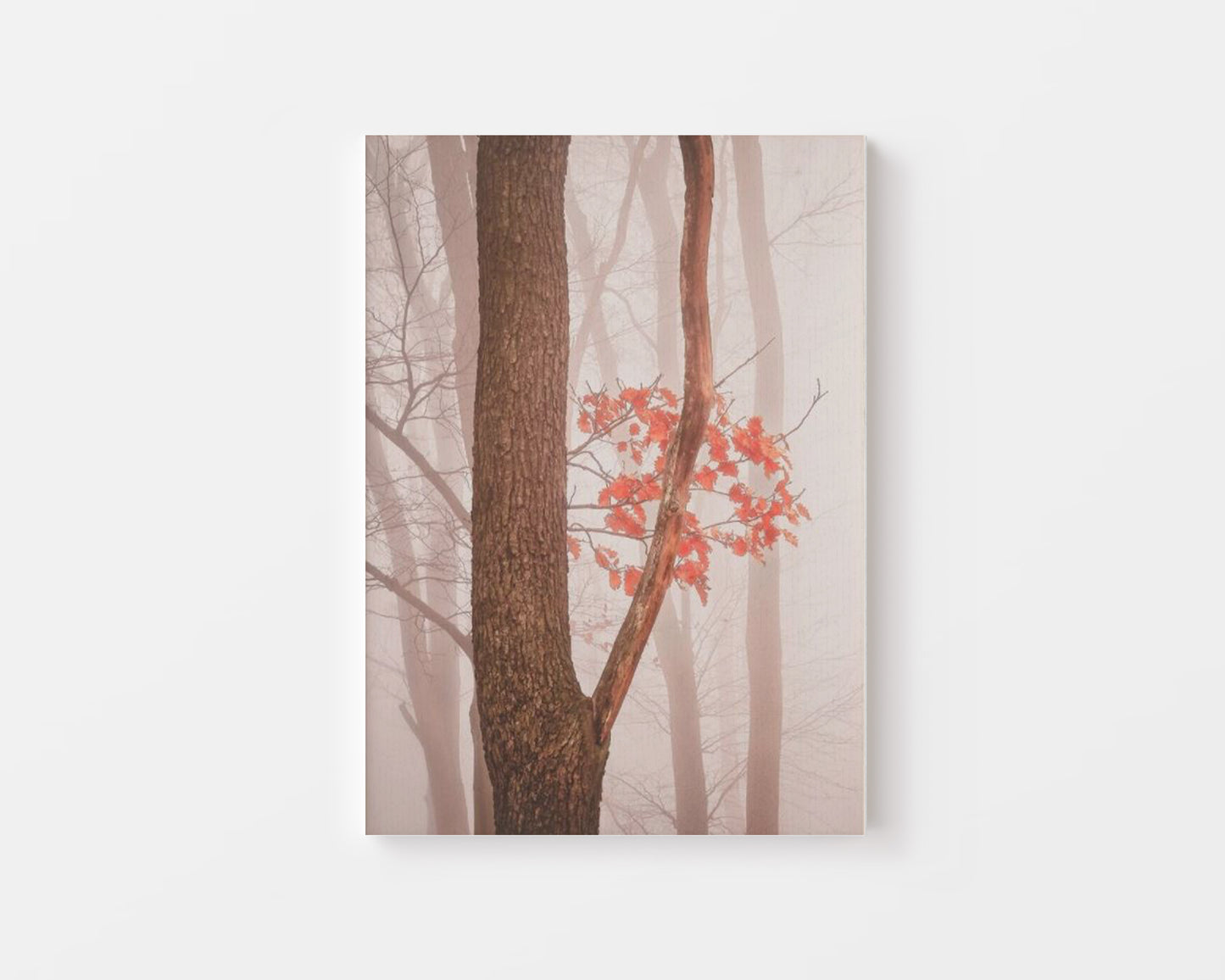 Fall Leaves Canvas – Canva Home