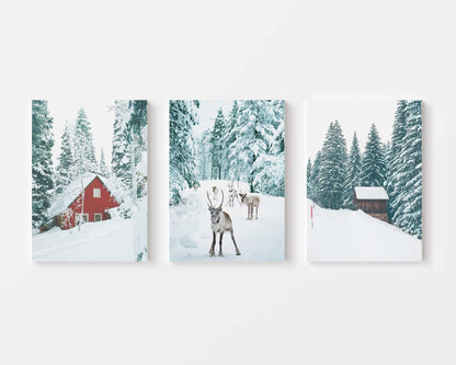 Winter Woodland Deer Canvas