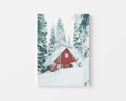 Winter Woodland Deer Canvas