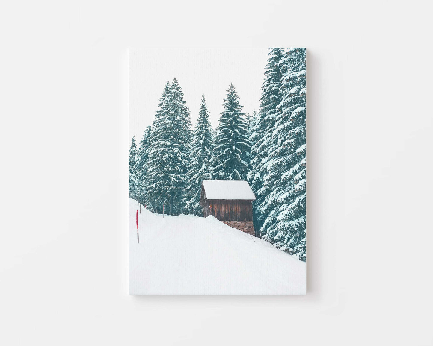 Winter Woodland Deer Canvas