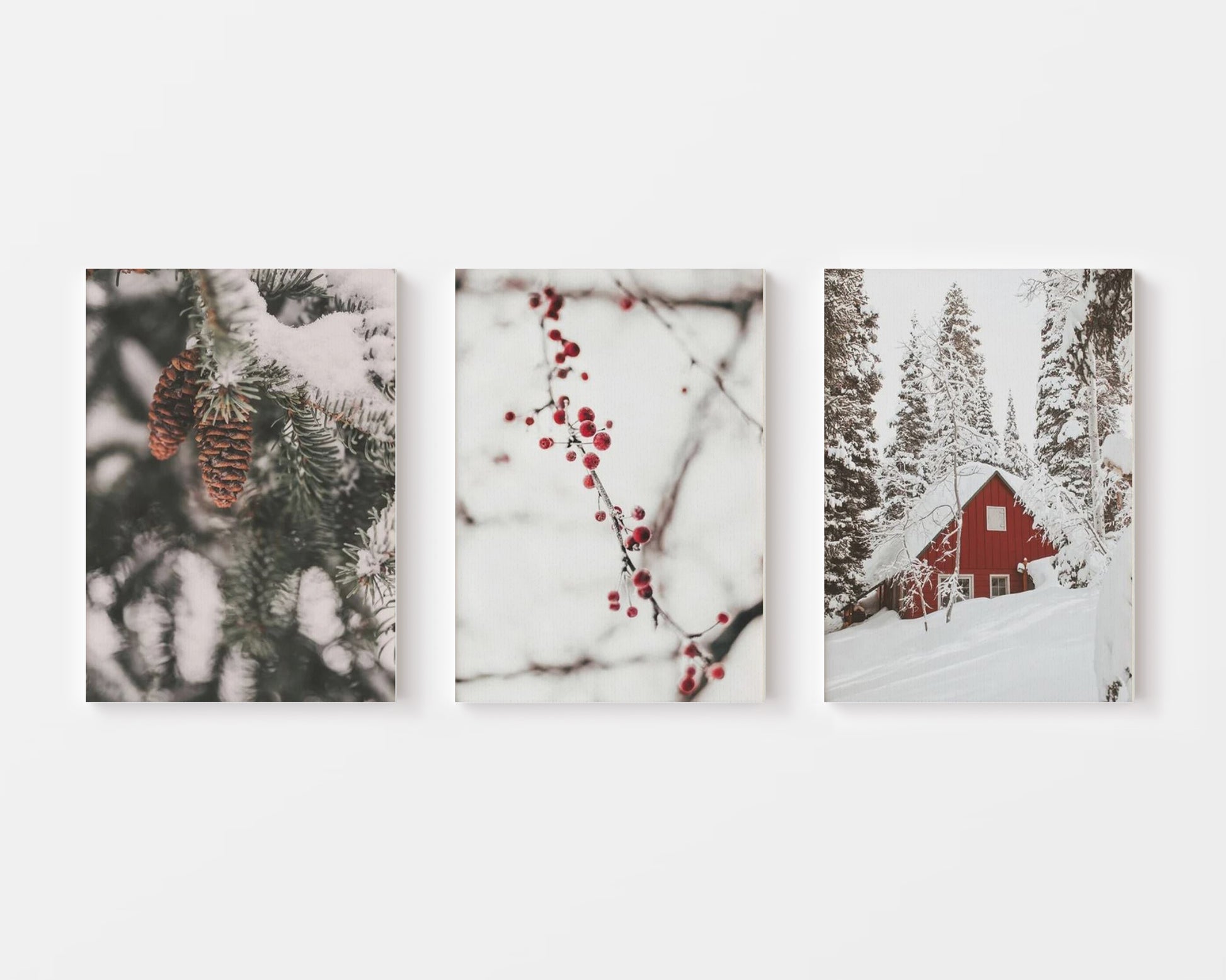 Winter Cherry Canvas - Canva Home