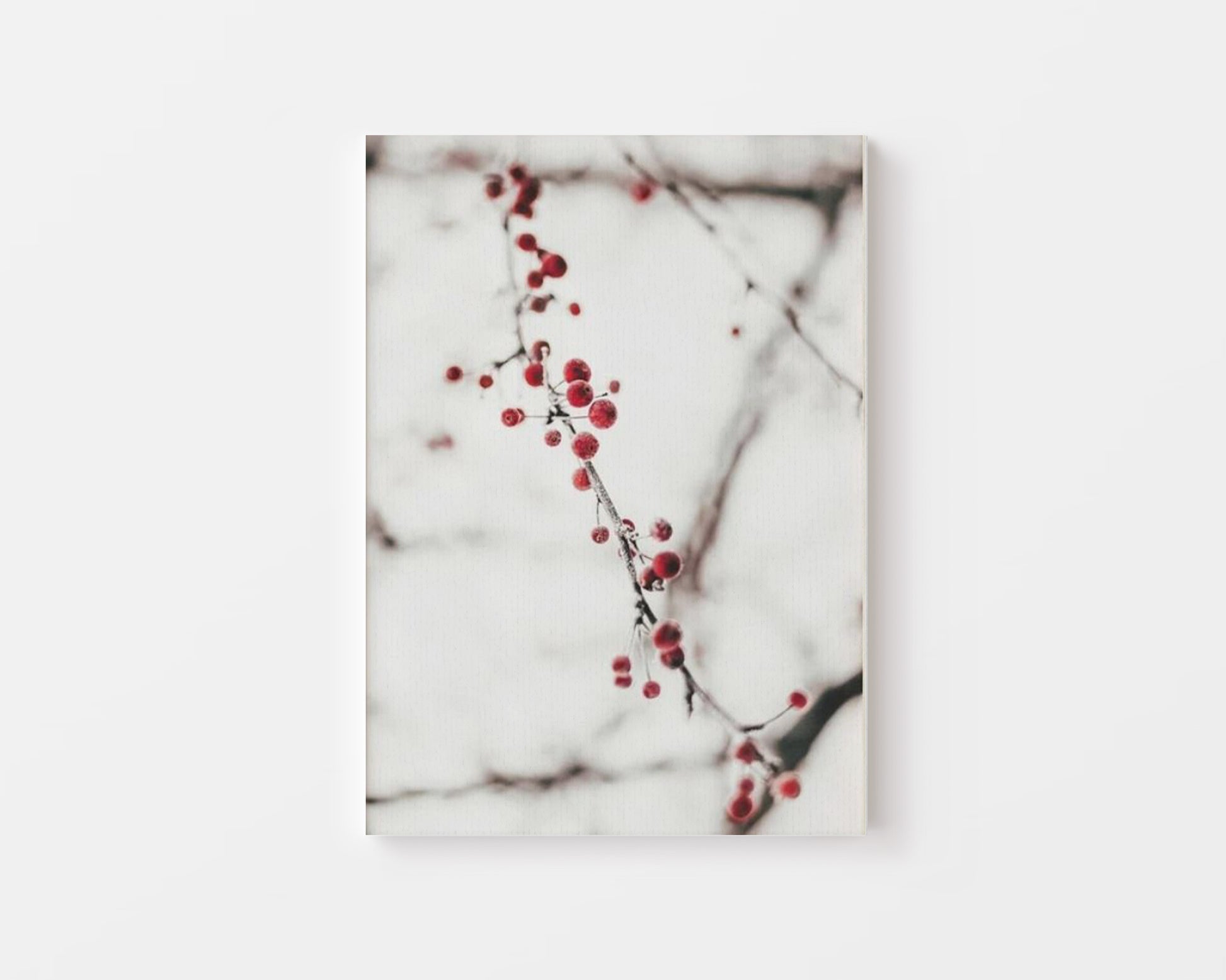 Winter Cherry Canvas - Canva Home